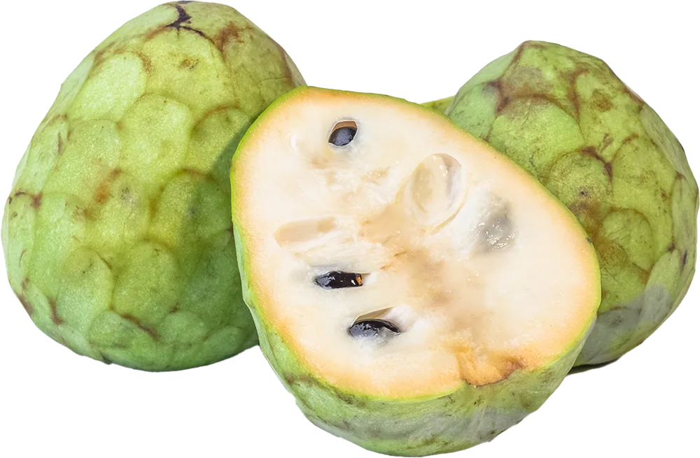 Chirimoya