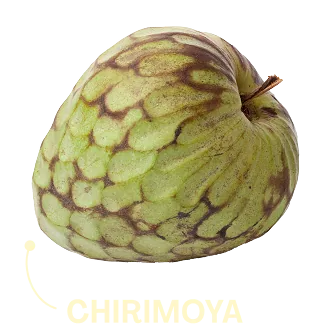Chirimoya