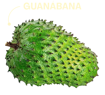 Guanábana
