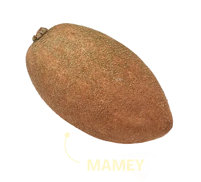 Mamey