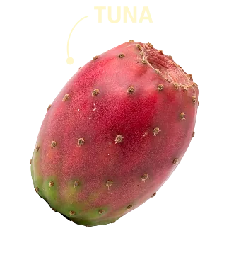 Tuna