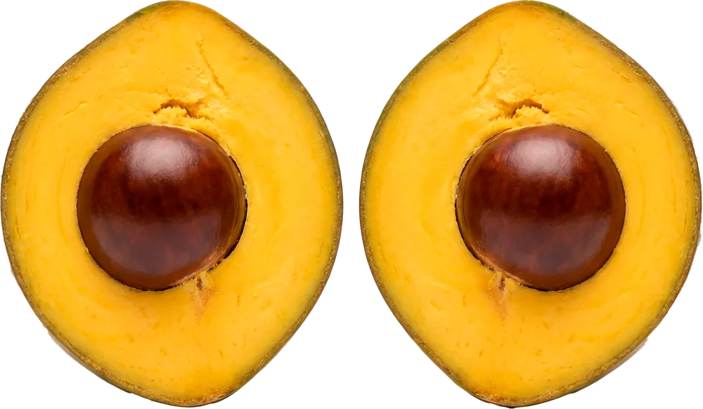 Lúcuma
