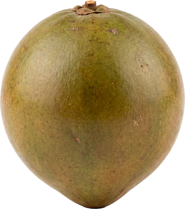 Ecuador