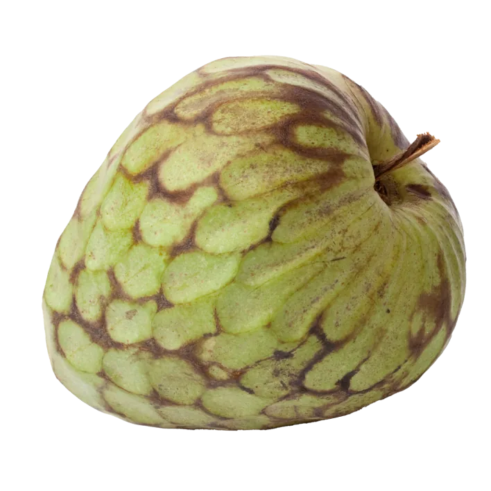 Chirimoya