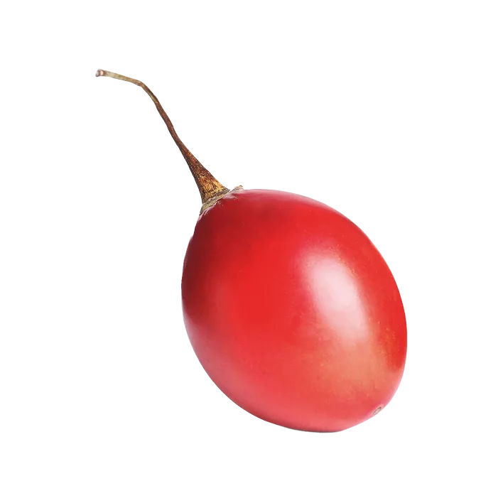 Tamarillo