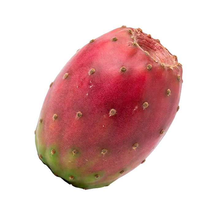 Tuna