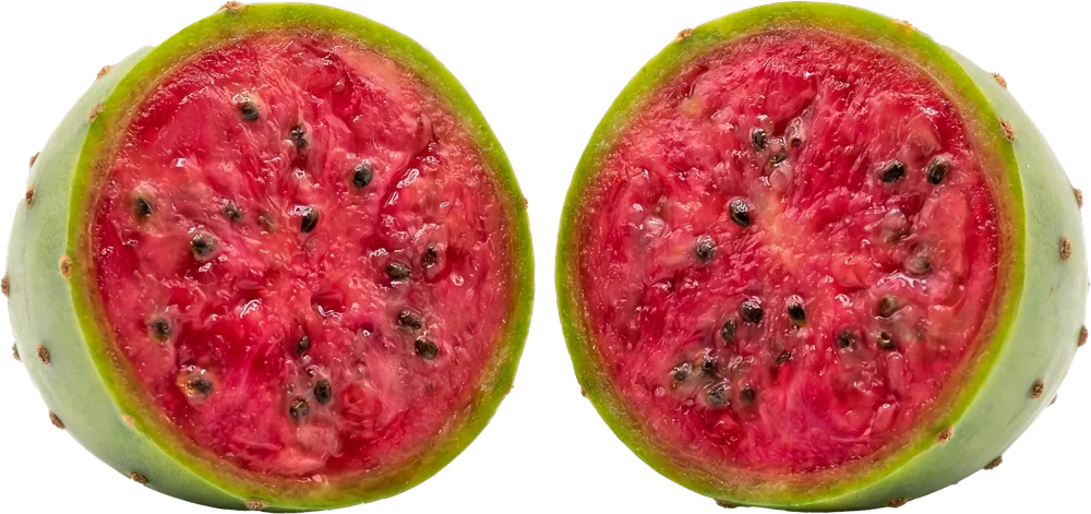 Tuna