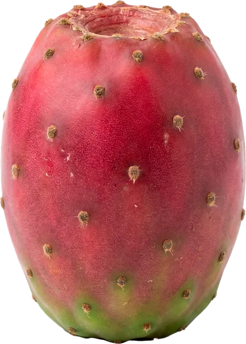 México